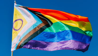 Get Your Free Pride Sign